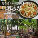 필농장 | 광주 근교 아이랑 체험할만한 곳 바나나 다향농장