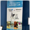 베니시모용인