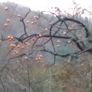 지리산천왕봉의집 이미지