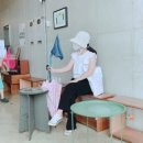 빛가람곤충