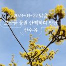 모산골방죽 이미지