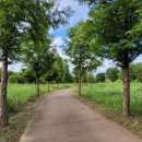 물안개공원 이미지