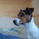 방가방가 PC 이미지