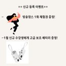 성인발레 입문,초급 이미지