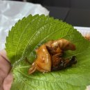 닥치고곱창 - 화성시 동탄반송1길 20-10 | 닥치고곱창