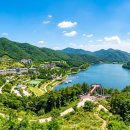 송원농장 | [8월 증평 여행] 증평 벨포레 리조트 익스트림 루지·수상레저 총정리 ＋ 좌구산 자연휴양림 명상...