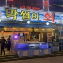 한대앞역 달짝지근한 갑오징어회가 일품인 막썰어회 식당