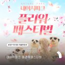 네이처파크플라워페스티벌 티스토리