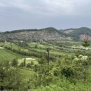 타이거CC 골프장 이미지