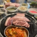 돈구어 이미지