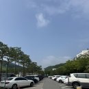 펫월드 - 종로구 자하문로 266 | [강원/홍천] 루지 반려견 동반 가능! 비발디파크 루지월드 강아지 펫 동반탑승 후기🏎️ (+이용방법 총정리)