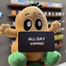 혜성전자 | 알로에베라 근본 톡스 갱쥬스 미사전자담배 에서 시연해 본 후기