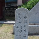 박팽년선생 가계도(朴彭年先生家界圖) 이미지