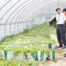 보양제약 이미지