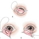 자연동물병원 이미지