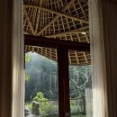 발리 여행, 5일차 (Seniman Coffee Studio-BALI TEAKY-Tukies Coconut Shop-Ubud Street Market-피손 우붓)