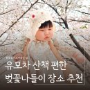 휘경31 | 아기랑 벚꽃나들이 추천 중랑천벚꽃길 휘경수변공원 (3/31 기준) 주차꿀팁, 무료 키즈카페까지