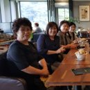 김종농장 이미지