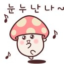 기흥전자담배추추베이프 이미지
