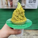 체리애견 | 삼덕동 경대병원역 애견동반카페 찰리탱고에디션 체리아이스크림, 피스타치오아이스크림 내돈내산 후기