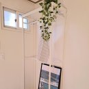 스테이코 이미지