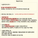 네이클린 네이버블로그