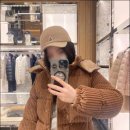 다오스 이미지