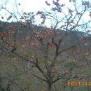 석복초등학교 이미지