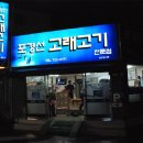 포경선 티스토리