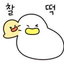 T＆T모터스 이미지