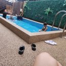 헬로 1204 이미지