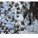 풍산초등학교 이미지