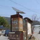 스테이아호이 이미지