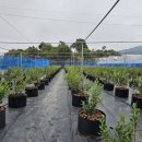 상부농장(2농장) 이미지