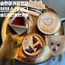 송도 트리플스트리트 브브스VVS 애견동반가능 카페