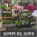 성신화원