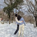 면뽑는남자 | 태교여행 | 제주도 6박7일 4일차 | 1100고지 | 면뽑는남자 오설록뮤지엄 후기