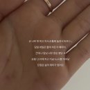 소머그면돼지 | #1