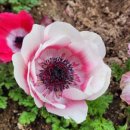 무주군청 민원실 이미지