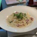 용인나무이야기 이미지