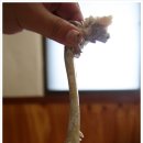 장수통닭 이미지