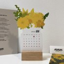 (11/23) 플라워박스 꽃꽂이 | 미미미메이커 꽃꽂이달력 꽃달력 부케북