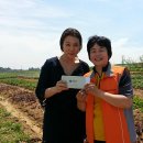 이화여자대학교 국제대학원 Daum카페