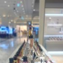 사이언스 미니어처 | #대전 신세계 향수 추천 #디올 라콜렉시옹 프리베 #그리디올/로즈가부키/쟈스망 데 쟝주