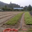 정산영농조합법인 이미지