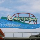 세화오일시장 이미지