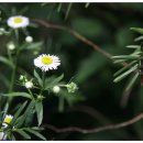 억수농장 이미지