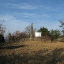 신동입석 이미지