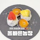 인정농장 | 이천에도 드디어 딸기모찌 맛집 등장! 올바른농장 방문 후기🍓