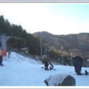 양지파인리조트 이미지